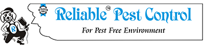 Reliable enter’s 40th Year of Service!