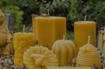 Florida Honey: Why Local Quality and Reliable Wholesale Matter for Your Business