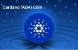 User Is Cardano a good long term investment?