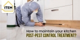 How to maintain your kitchen Post-Pest Control Treatment?