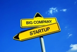 What Is Better: Working for a Startup or a Corporation?