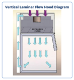 How Does a Vertical Laminar Flow Hood Control Airflow?