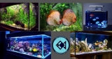 Facts Regarding Fish Aquariums || Aqua Products BD