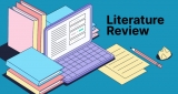 literature review paper