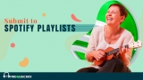 Find Music Box Invites Every Artist to Submit to Spotify Playlists for Promotion